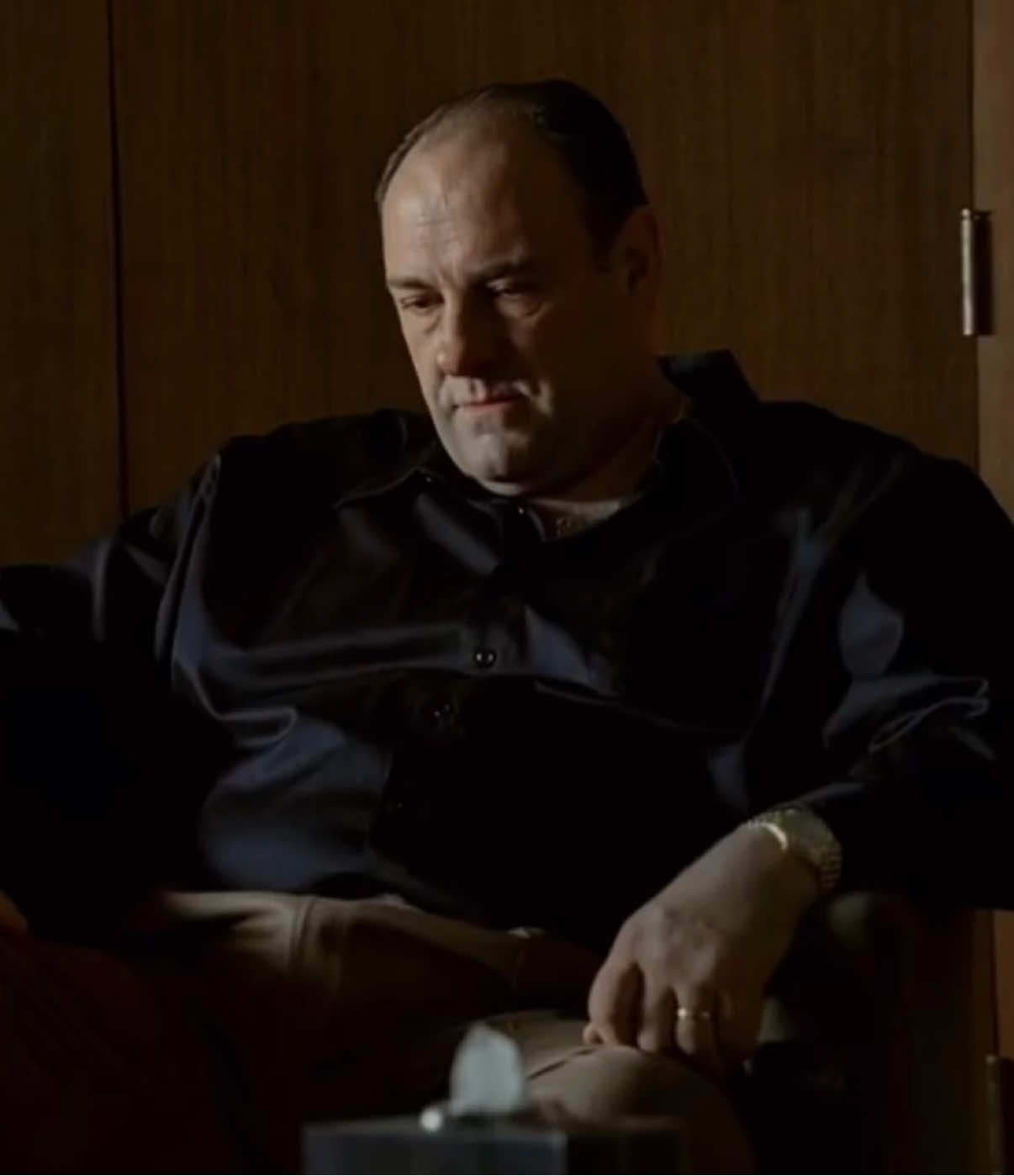 arguably the best character ever created #tonysoprano #fyp #thesopranos #foryoupage #edit 