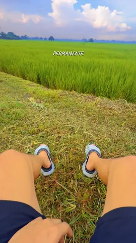 Sarap mabuhay #guddhist  #viralmusic #fyp  #motivation  #naturalremedy 