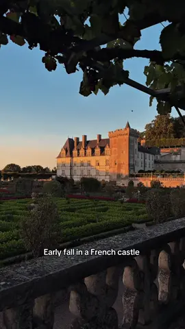 🍂The first signs of fall have arrived at Villandry Castle, whose gardens are among the most beautiful in France. Every corner of the estate offers a new opportunity to marvel. Between the vegetable garden, the Renaissance garden, and the French garden, Villandry's beauty is endless, not to mention its magnificent interiors. 