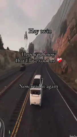 Love you twin #heytwin #fyp #viral #twin #gta 