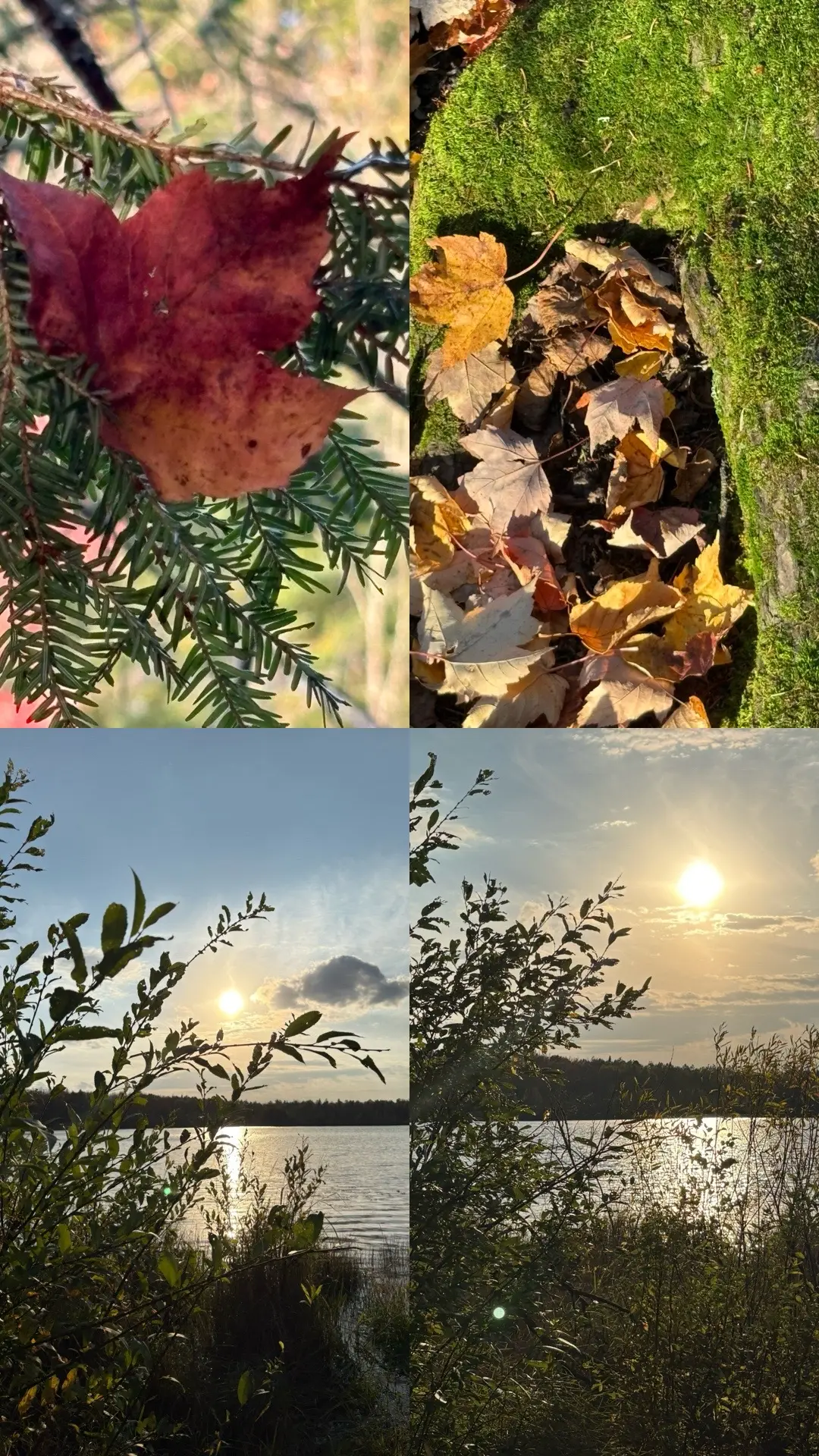 Magic is everywhere if you look. It is the ground the sky the water the wind. It is our mind our body our spirit. Embrace the magic in everyday life. From the smallest speck of dust to the planet Earth itself from the smallest creature to the largest is magic. #americanfolkwitch #bikerwitch #broomtok 