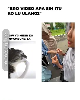 #rizzprem anomali mbg ini mah#mbg#meme#fypage#fyp