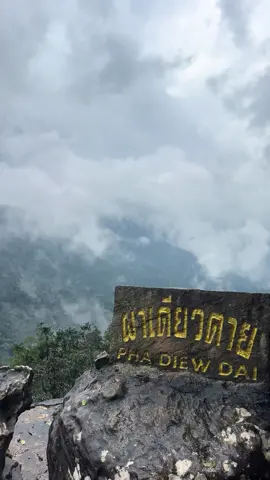 04/10/68เขาใหญ่🍃💚#ผาเดียวดาย #เขาใหญ่ #ปราจีนบุรี #เอาขึ้นหน้าฟีดที #fyp 