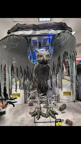 Spirit trip! I LOVE Spirit Halloween! All the creepy stuff makes me happy. I want it all! I did get a couple cool things tho. 