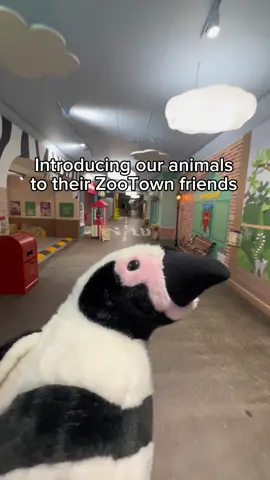 All of our soft toys at the Zoo provide an accurate representation of our animals, helping children better connect with wildlife through play.  This October we’re inviting children to imagine their future as they get to try out roles ranging from vets to scientists to zootritionists at our brand-new role-play experience, ZooTown. ZooTown will give kids license to embrace their love of play and tickle their curiosity for the natural world in an oasis of activities inspired by ZSL’s conservation work. The space boasts over a dozen engaging and interactive play stations where kids aged three to eight will be immersed in the world of a ZSL conservationist - be that a horticulturalist, scientist or zookeeper. Thanks @Hamerton Zoo Park for the great video idea! 🤝 