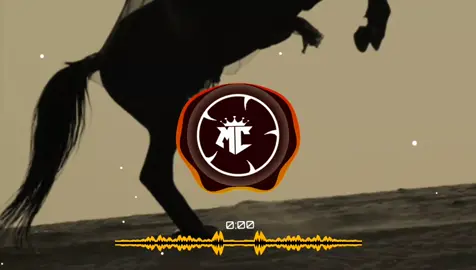 𝙐𝙎𝙀 𝙃𝙀𝘼𝘿𝙋𝙃𝙊𝙉𝙀𝙎🎧 . . . . #viral #foryou #foryoupage❤️❤️ #bassboosted #song 