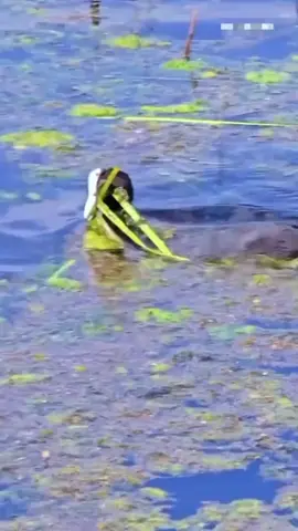 #🇧🇩🇧🇩🇧🇩🇧🇩 #৬৪জেলা👈 #😭😭😭😭😭😭💔💔💔💔 ভিডিওটা দেখতে থাকে হৃদয় ছুয়ে যাবে 