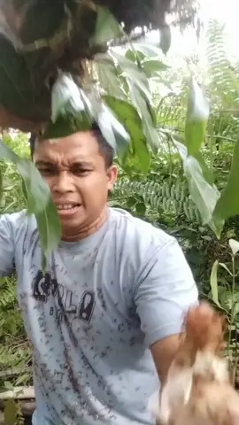 Chơi gì cũng ngu chỉ chơi ngu là giỏi🤣