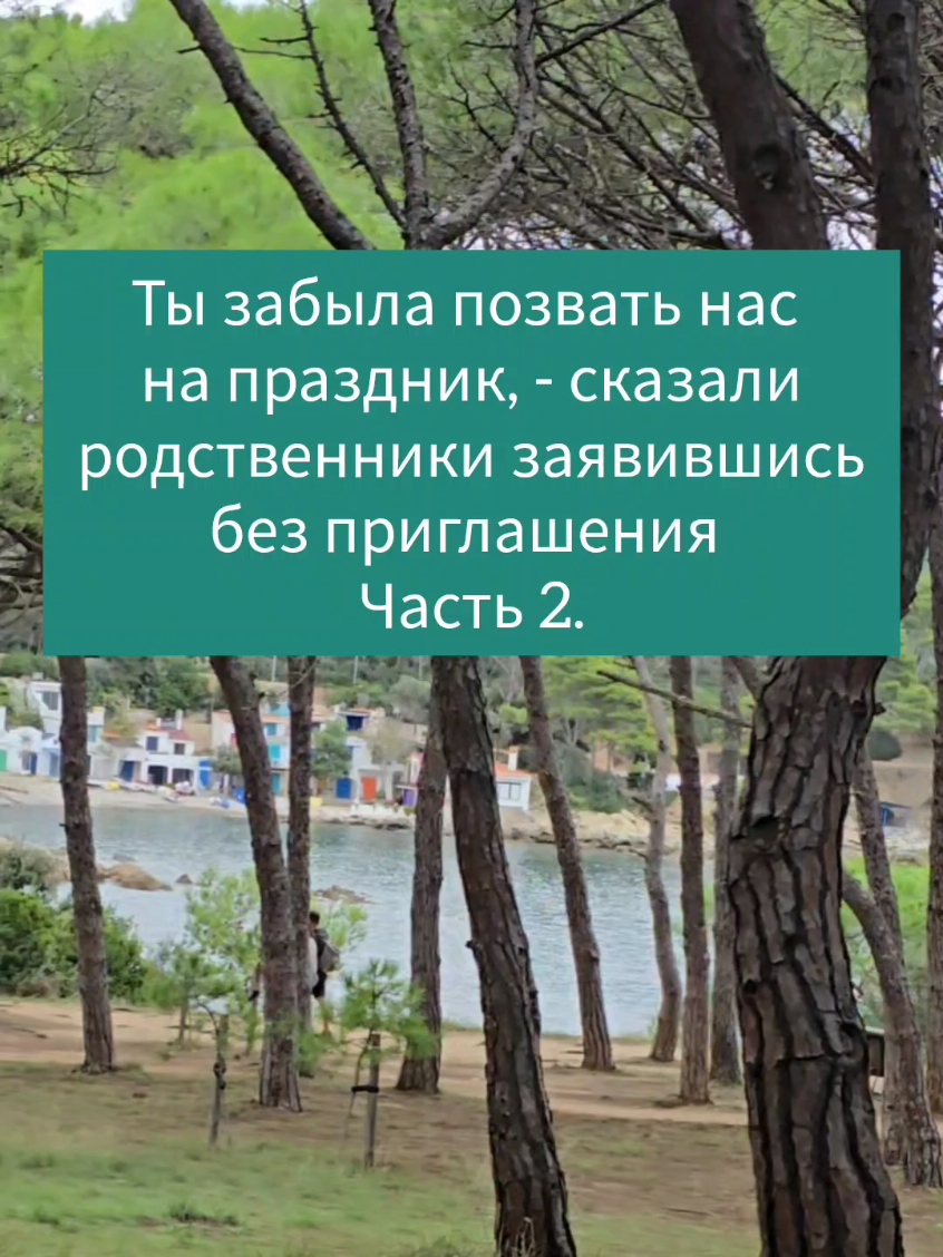 « Tu as oublié de nous inviter à la fête », ont dit les proches, arrivant sans invitation. Partie 2.  #histoire 
