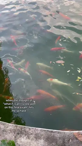 #study #exam #uasa #fyp #quotes 