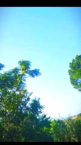 #foryou #foryoupage❤️❤️ #foryoupageofficiall #repost @🐺🪓☝🏿wahid yousfzai ☝🏿🪓🐺 @👑جلیل خان💥 @🇹🇷𝐋𝐚𝐭𝐢𝐟🦅𝐤𝐡𝐚𝐧¹𝟎¹ @🇦🇪🅳🅺 𝗞𝗛𝗔𝗡³¹³🇦🇪 