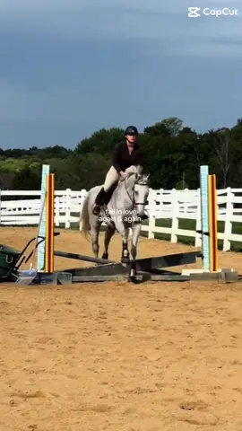 Fall in love 🤍 she hasn’t made it easy, but she has made it worth it #ironicallyequal #equestrian #horsetok #fyp #foryou 