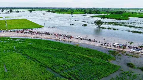ទិដ្ឋភាពបងប្អូនអញ្ជើញមកលេងកំសាន្ដនៅផ្លូវកោងស្រែពេលល្ងាចទឹកទន្លេរឡើង ០៥/១០/២០២៥