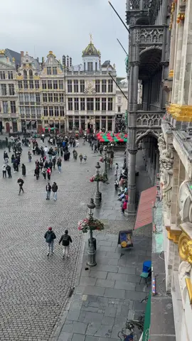#belgium🇧🇪 #GrandPlace #BelgiumBeauty #streamer #❤️❤️❤️❤️❤️❤️❤️❤️❤️❤️❤️❤️❤️❤️😘 