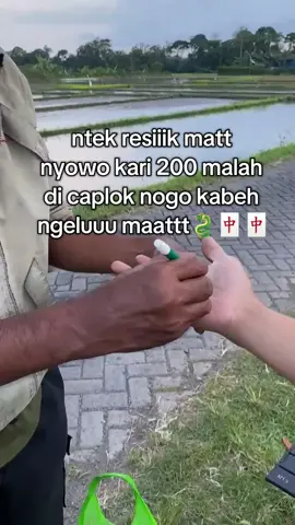 ngopeni nogo entek resik matt