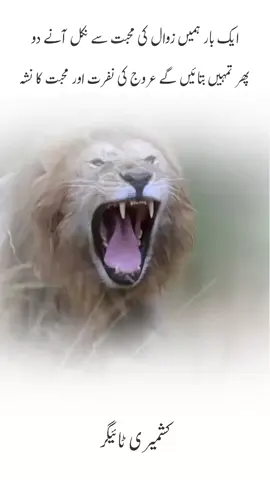 #fyppppppppppppppppppppppp #viral oy akhyan vicho moat disaay