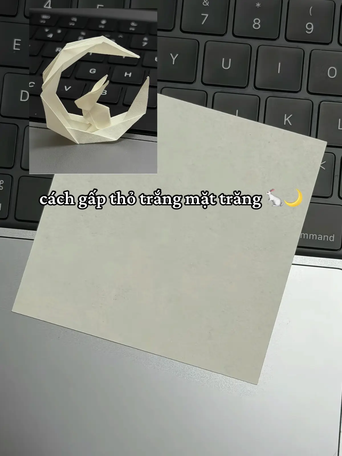 #xuhuong #xuhuonggggggggggggggggggggggggggggggggg #xh #xuhuongtiktok 