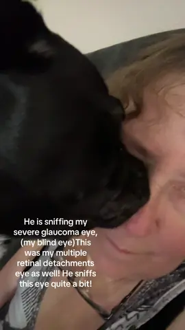 #pug #dog #retinadetachment #glaucoma #fyp 