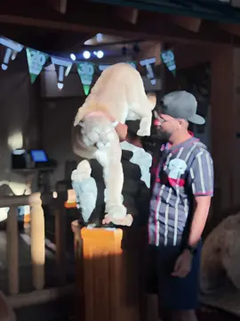 #CapCut #مصر_السعوديه_العراق_فلسطين #اليمن_صنعاء_روح_قلبي #usa 🇺🇸🇾🇪