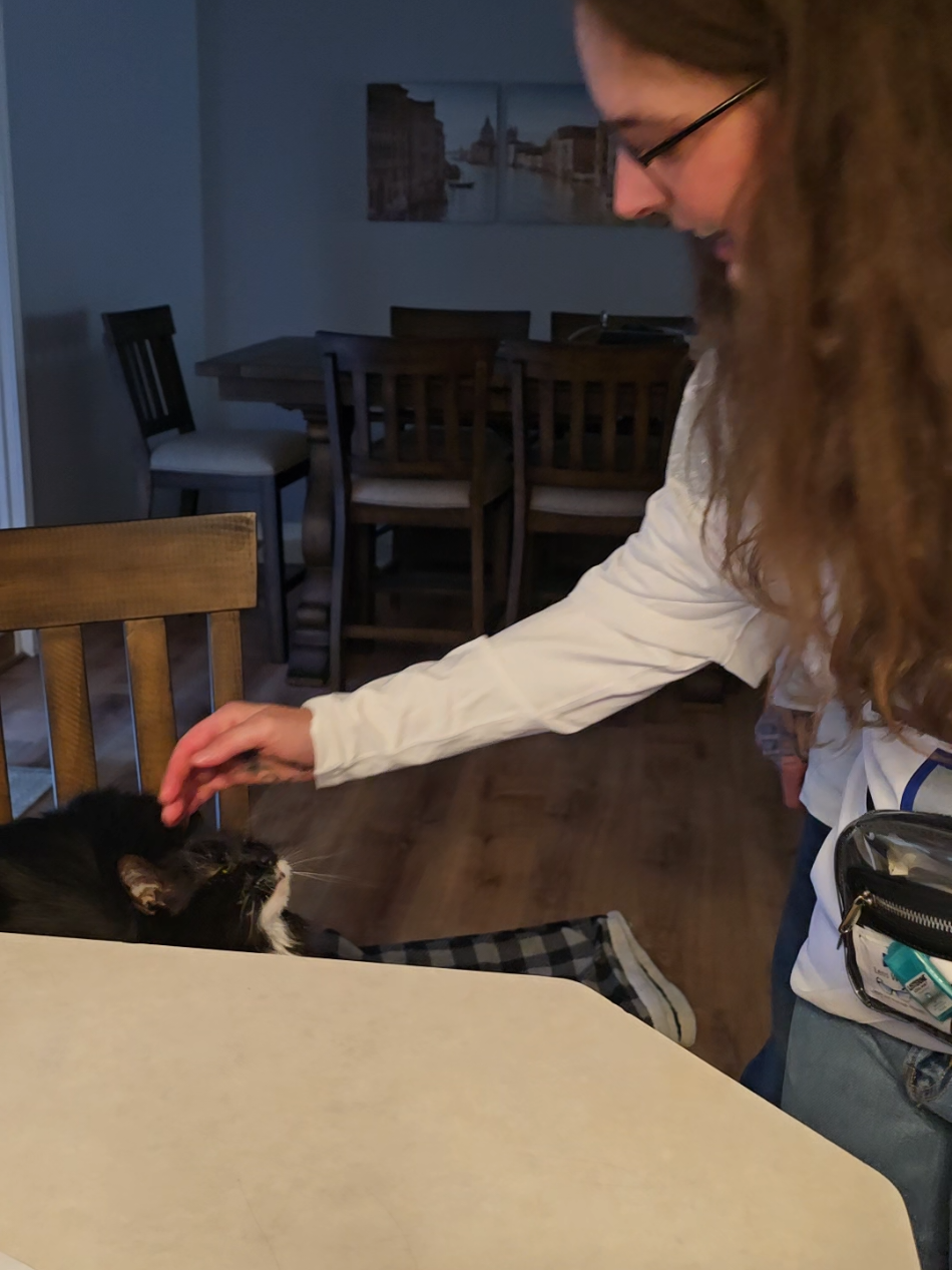 So sorry little lady that we are leaving all day! #cat #fyp #tuxedocat #catsoftiktok #PetsOfTikTok 