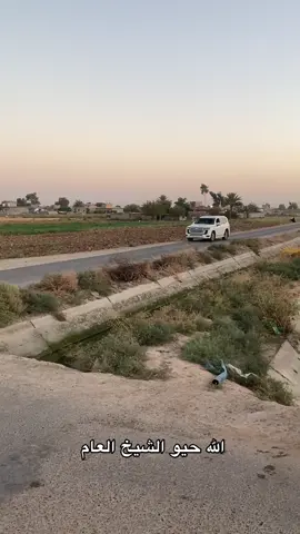 الشيخ ابو فاطمة @منصور عويد التميمي #مكتب_النائب_ناسك_مهدي_الزنكي❤️‍🔥 #النائب_ناسك_مهدي_غريب #صلاح_الدين_الدجيل_عشيرة_البوحشمة_🦅🔥 