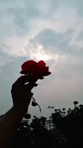 না পেতে পেতে মানুষের গ্রহণ ক্ষমতা চলে যায়,ভালোবাসা পেলেও সে বিশ্বাস করতে ভয় পায়....!🙂♥️ . . . #fyp #foryou #foryoupage #tiktobangladesh🇧🇩 #unfrezzmyaccount 