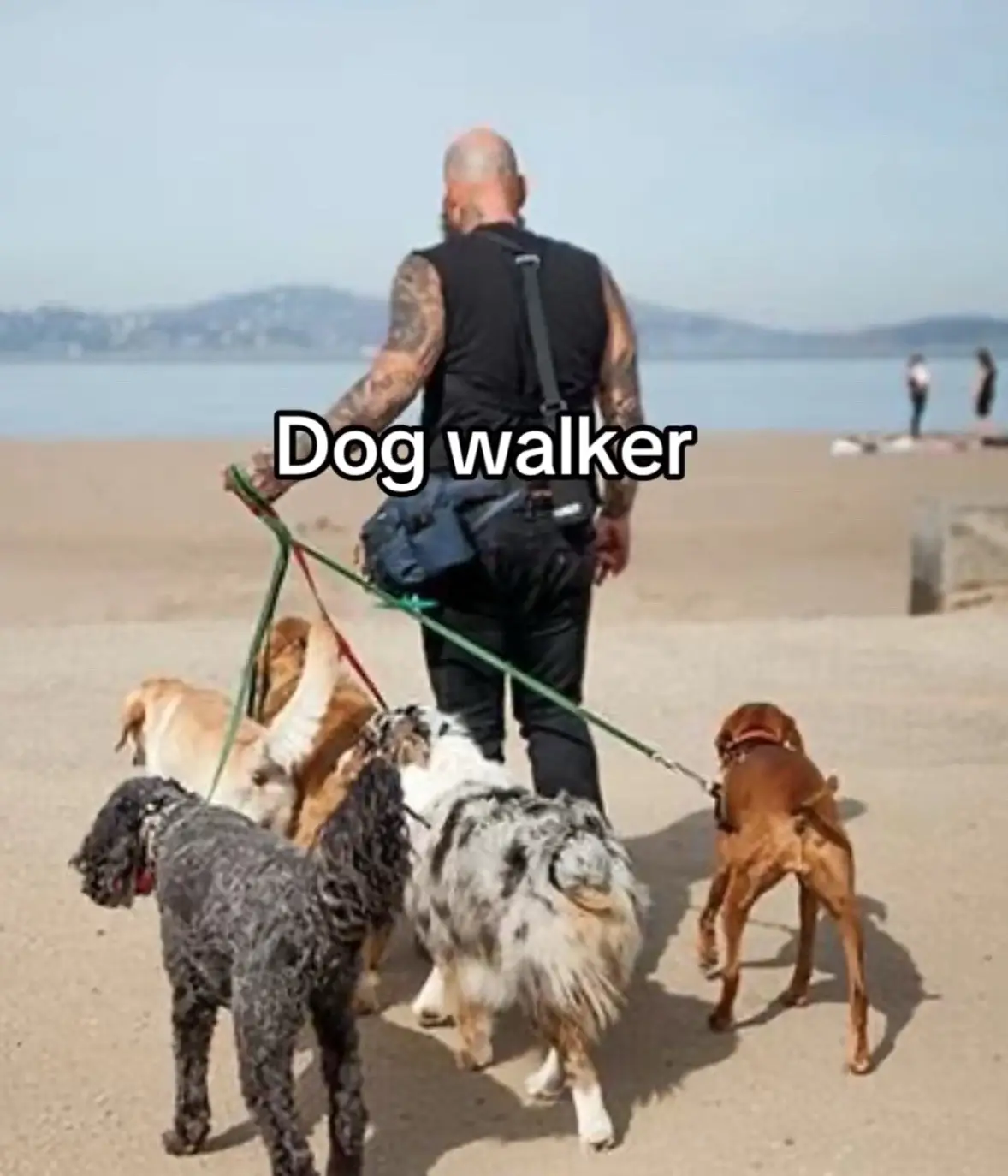 snack pack #corvette #zr1 #fyp #c4 