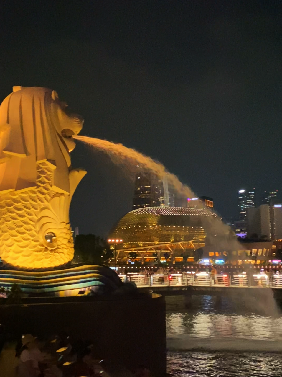 Merlion park malam hari 🇸🇬 meskipun sudah malam pun, tetap ramai! #singapore #city #capital #merlionpark #fypシ゚ 