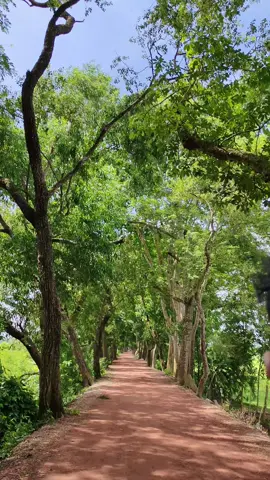 #ভীষন সুন্দর রাস্তা