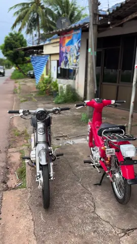 ดินแดนชุปญี่ปุ่นหนองคายบ้านฉัน🇯🇵🉐🤟🏽#ฟีดดดシ#ฟีดดดシดการมองเห็น #supercub50cc 