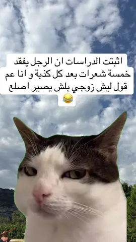 #MemeCut #MemeCut #شعب_الصيني_ماله_حل😂😂 #مغربية🇲🇦 #Meme 