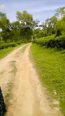 #tiktok #viral_video #foryoupage #foryou #fppp