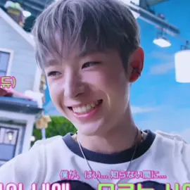 my stupid cheese cat #fyp #kpop #nctwish #explore #yushi 