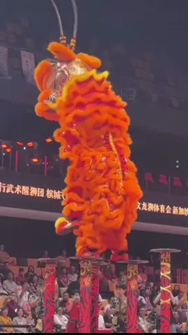 🇲🇾 2025 杰青国际狮王杯-国际高桩舞狮邀请赛 Piala OE Antarabangsa 2025 Oct 5, Karisma Arena, Seremban 🇲🇾 马来西亚雪州万挠玄龙体育会 Persatuan Tarian Naga dan Singa Xuan Long Rawang Selangor Malaysia 威武五家 齐天大圣 老夫子狮🧡💛 Mengkok 😯上桩一气呵成 #malaysia #liondance #barongsai #mualan #tariansinga 