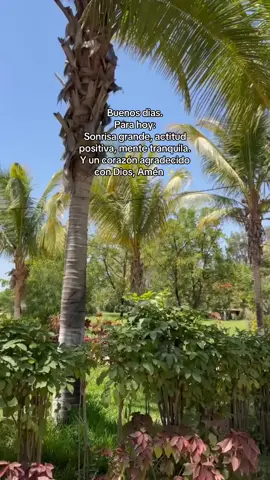 Feliz domingo 🫶🏻✨!  #fyp #paratiiiiiiiiiiiiiiiiiiiiiiiiiiiiiii 