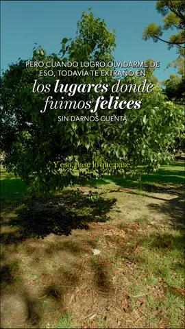 Un día sin darnos cuenta nos vamos a sonreír sin nada que reprochar y sabiendo que alguna vez fuimos el refugio del otro Poesía - Reflexiones  #poesía #reflexiones 