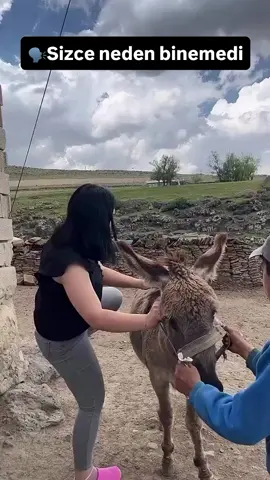 #kesfetbeniöneçıkart 