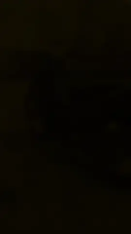 #CapCut 
