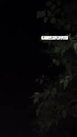 سردی کی پہلی دستک۔ 🌷⛈️#fyppppppppppppppppppppppp #asaam_436 