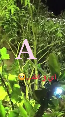 ❤️❤️❤️❤️❤️