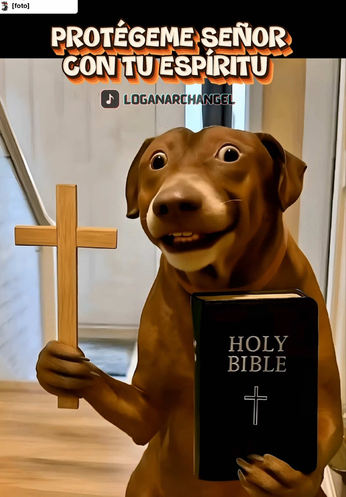 Respuesta a @Ur local „L” esta foto es genial y el video quedó aún mejor! Ya fueron a la iglesia es domingo, canten conmigo! Protégeme señor con tu espíritu! Este video de el perro sosteniendo una biblia y una cruz es simplemente hermoso! #protegemeseñorcontuespiritu #protegeme #protegemeseñor #perritostiktokers #humortiktok 