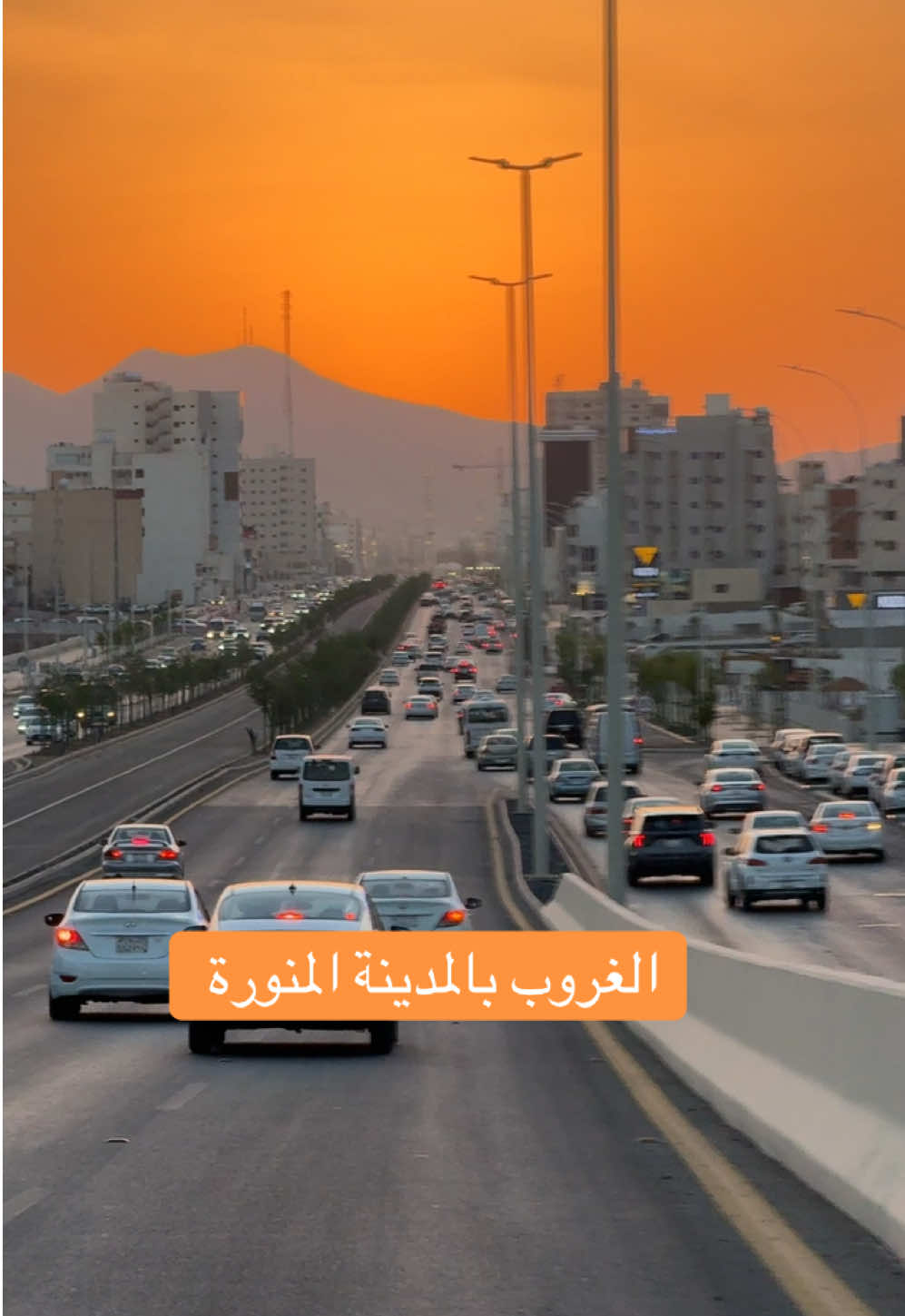 #المدينة_المنوره #foryoupage #هناء_المدينة #اكسبلوررررر 