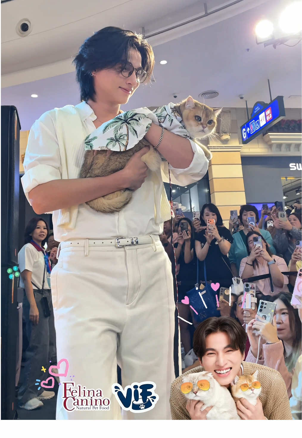 คุณGulf และน้องแมวสุดน่ารักมาสร้างความสุข🐶🐱ในงาน 🐾 Dogenjoy Pattaya Pet Fair 2025 🐾✨ของเรา บรรยากาศคึกคัก สนุกสนาน 💕 #dogenjoypattayapetfair2025