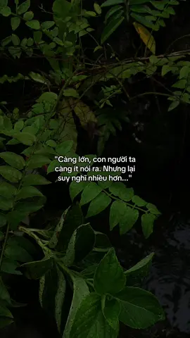 …#tamtrang #story 