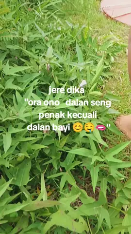 opo jere dika  #wenakjii #blitar24jam #fypage 