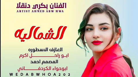 #سودنيز_تيك_توك_مشاهير_السودان #المصمم احمد ابوحواء 