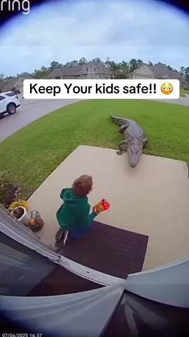 Madre salva suo figlio da gigantesco coccodrillo a Jacksonville Florida. In un incidente scioccante avvenuto a Jacksonville in Florida, un bambino era a pochi centimetri dall'essere attaccato da un gigantesco coccodrillo che si avvicinava di soppiatto mentre giocava. Fortunatamente la madre del bambino, che era vicina e ha sentito cosa diceva il bambino, ha reagito rapidamente per salvare suo figlio, e in un atto eroico è riuscita ad afferrarlo giusto in tempo prima che il coccodrillo potesse fargli del male. #notizie #news #notiziedelgiorno 