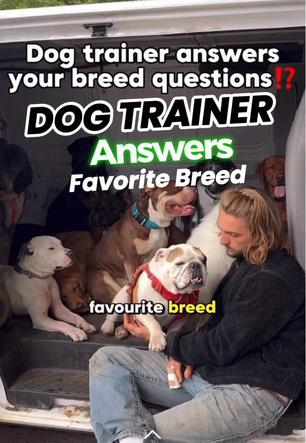 This trainer @cherry.hoggs has worked with every breed you can think of, yet the English Bulldog stands out as the all-time favorite. Loyal, hilarious, stubborn in all the right ways, there’s a reason they win hearts everywhere. That’s why we breed them with extreme structure, healthy lines, and true bulldog character. If a professional trainer can’t resist them, just imagine one in your home. Why Choose Big Bone Bulldogs? ✅Located in Central Florida – Easy access for local families! ✅ Meet the parents & tour our facility – both virtually and in person. ✅ Watch your puppy grow – Livestreams from birth to 8 weeks! ✅ Top-Quality Bloodlines – Hand-selected for health, structure, and temperament. ✅ Transparency: With live streams like this one, you see exactly how my puppies and adults are raised every step of the way. ✅ Expertise You Can Trust: As one of the top bulldog breeders in the country, I’m committed to responsible, ethical breeding. ✅ A Risk-Free Experience: The bulldog market can be full of scams, but with me, you’ll get a trusted breeder who delivers top-quality puppies. ✅ Health Guarantee – Our puppies come vet-checked, vaccinated, and well-socialized. ✅ Lifetime Support – We guide you through every step of your puppy’s journey. ✅ AKC registered, health-checked, health guaranteed and raised with care. ✅ Nationwide Shipping – Bringing your perfect puppy to your door, anywhere in the U.S. RESERVE YOUR PUPPY NOW https://bigbonebulldogs.com/contact 🌐 Visit our website: https://www.bigbonebulldogs.com/ 🔒BOOK A STUD: https://bigbonebulldogs.com/studs 🌟 Subscribe to our channel for more adorable Bulldog content, updates, and tips on raising your dream dog!  https://youtube.com/@bulldogbreeder?si=nNukjrKMVWj1plxy #englishbulldog #bulldog #minibulldog #doglover  Don’t forget to like, comment, and share this video with anyone looking for a Bulldog puppy.
