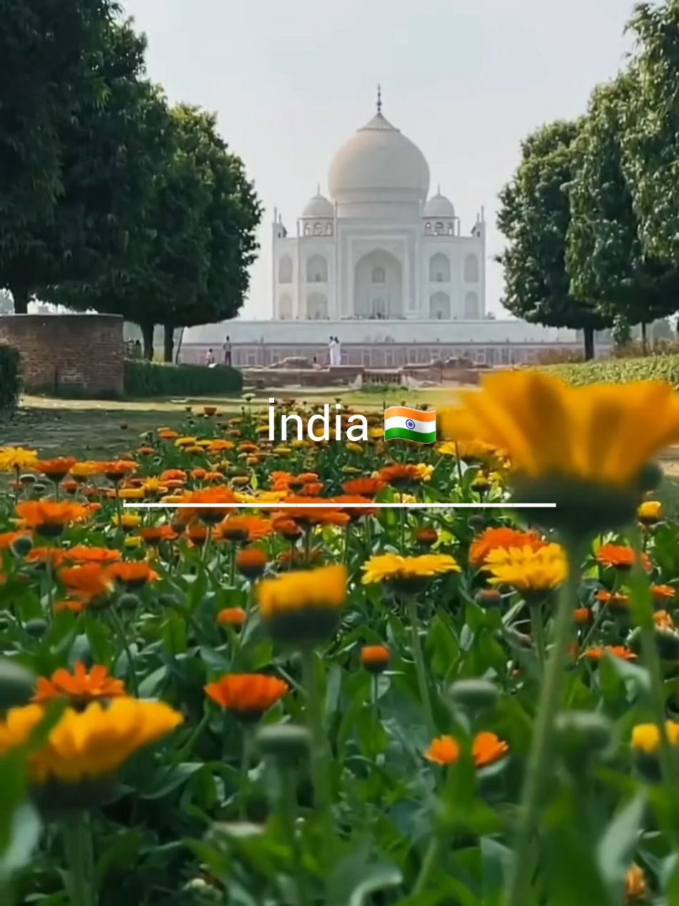 İndia 🇮🇳 #india #tajmahal #kashmir #bollywoodsong #mumbai 
