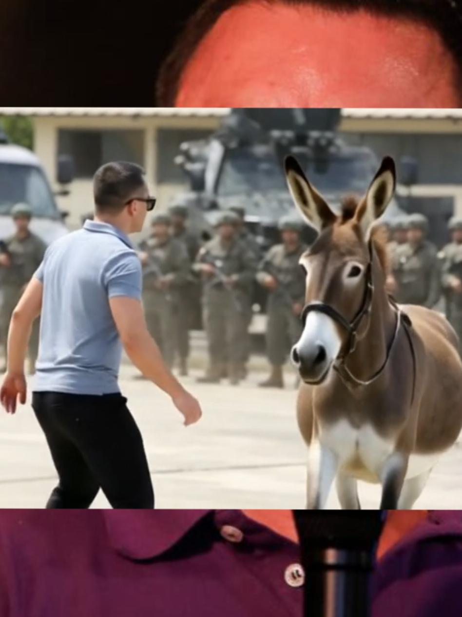 Se entienden bien